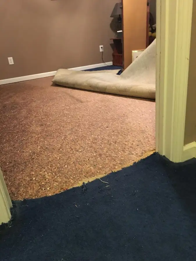 Carpet pad removal revealing water damage during Drying & Dehumidification in Dent