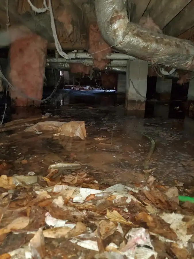 Crawl space flood assessment for Leak Detection & Repair in Dent